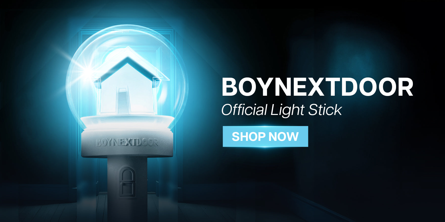 BOYNEXTDOOR Official Lightstick Banner