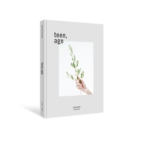 Seventeen popular teen age album full set