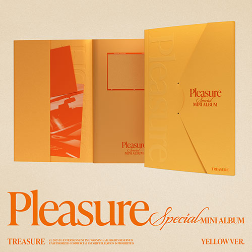 treasure Pleasure 未開封 treasure Pleasure 未開封