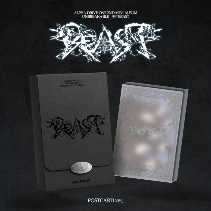 ALPHA DRIVE ONE UNBREAKABLE 少年BEAST 2nd Mini Album POSTCARD Ver - main image