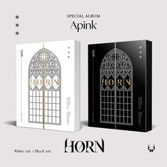 Apink ナムジュ　公式トレカ　HORN Apink - Special Album: HORN (Concept Photo Black ver