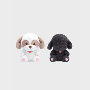 chanyeol-40cm-doll-2024-live-