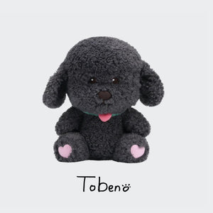 chanyeol-40cm-doll-2024-live-