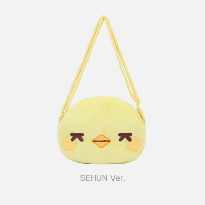 EXO - Fanlight Bag [2026 'EXO PLANET #6 EXhOrizon' Official MD