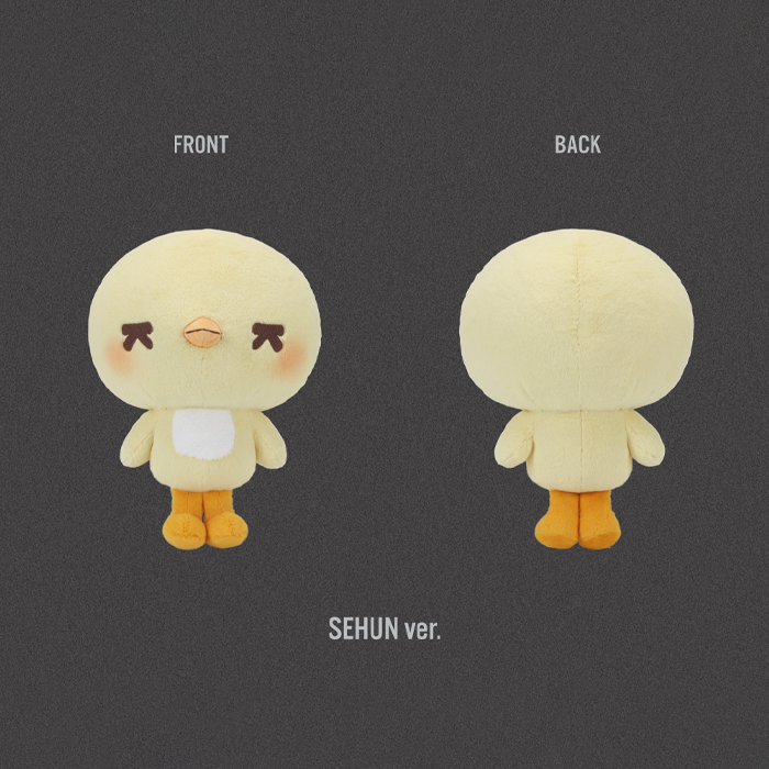 EXO - Hug Doll [2026 'EXO PLANET #6 EXhOrizon' Official MD] - K PLACE