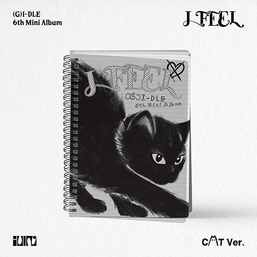 (G)I-DLE I feel 6th Mini Album - CAT version product image
