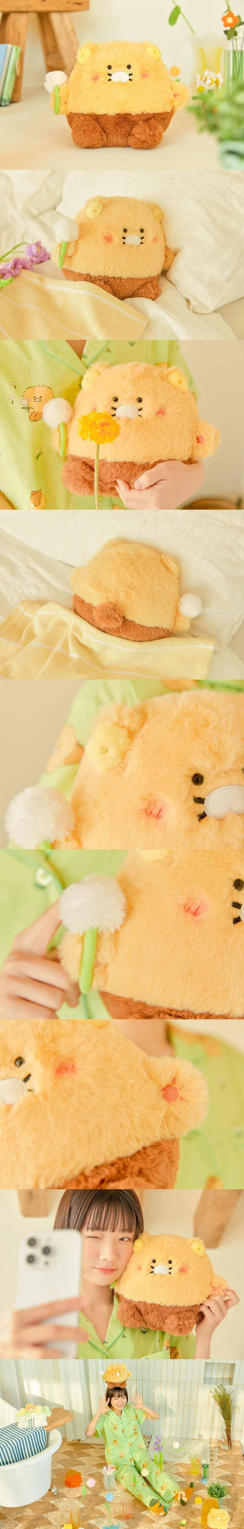 Kakao Friends - Chubby Plush Doll [Choonsik's Hairy Day]