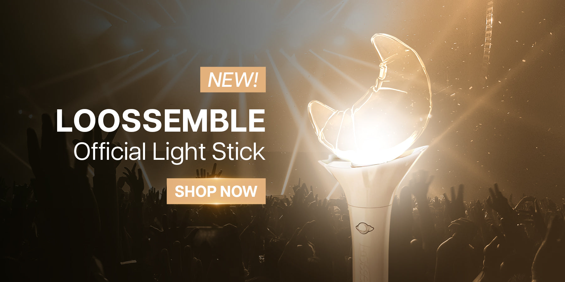 Loossemble Official Light Stick Banner