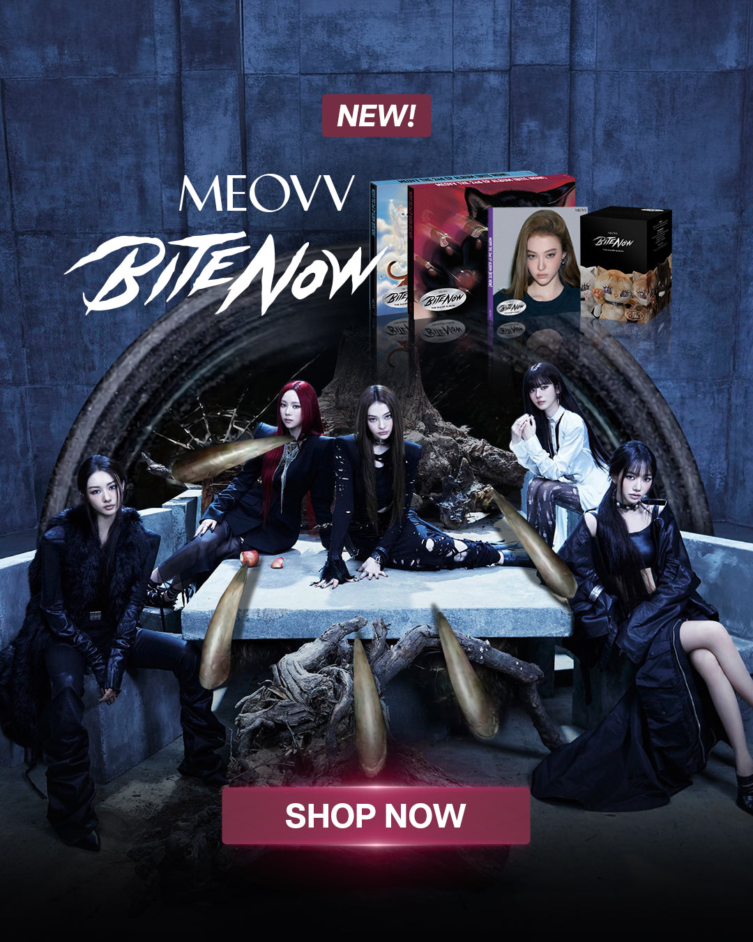  MEOVV BITE NOW Album - Mobile Banner