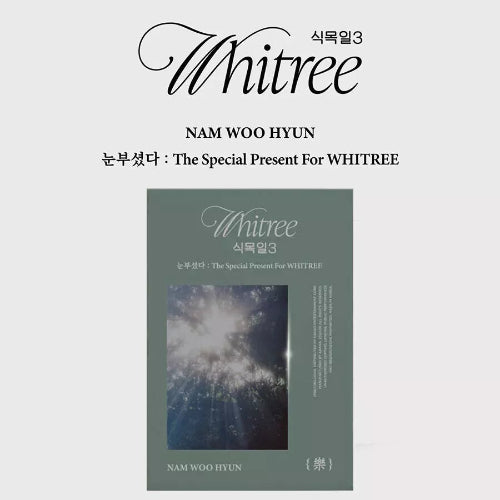 Nam Woohyun - The Special Present For WHITREE 3 Live Version - Green Version