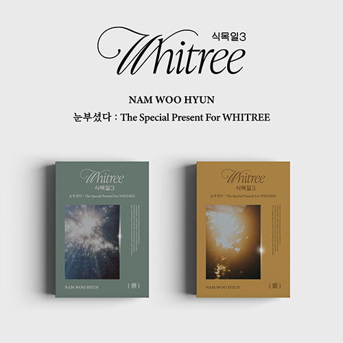 Nam Woohyun - The Special Present For WHITREE 3 Live Version - main image