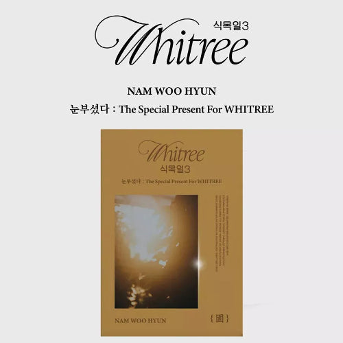 Nam Woohyun - The Special Present For WHITREE 3 Live Version - Yellow Version
