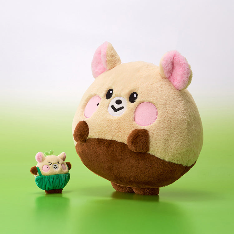 NCT DREAM - Dreamiez Big Flat Cushion - K PLACE