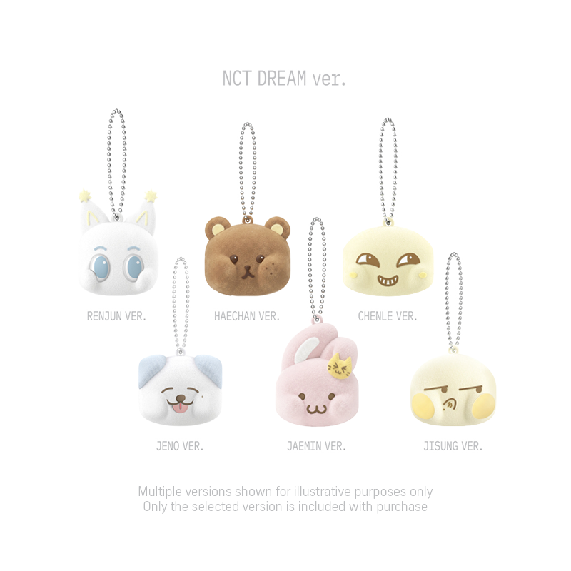 NCT - Magnetic Keyring [2026 NCT 10th Anniversary 'NEO GROUND' POP