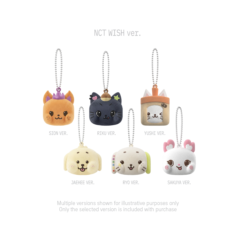 NCT - Magnetic Keyring [2026 NCT 10th Anniversary 'NEO GROUND' POP