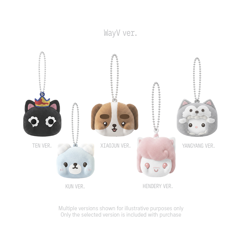 NCT - Magnetic Keyring [2026 NCT 10th Anniversary 'NEO GROUND' POP