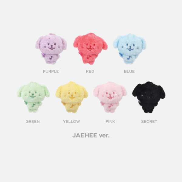 NCT WISH Random Color Wish Doll FIND YOUR COLOR POP UP Official MD - JAEHEE Version