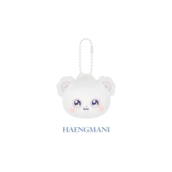 NMIXX MIXXFFY Face Keyring EPISODE 1 ZERO FRONTIER 1ST WORLD TOUR IN INCHEON Official MD - HAENGMANI Version