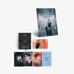 seventeen-mini-poster-panorama