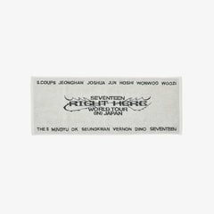 seventeen-towel-right-here-