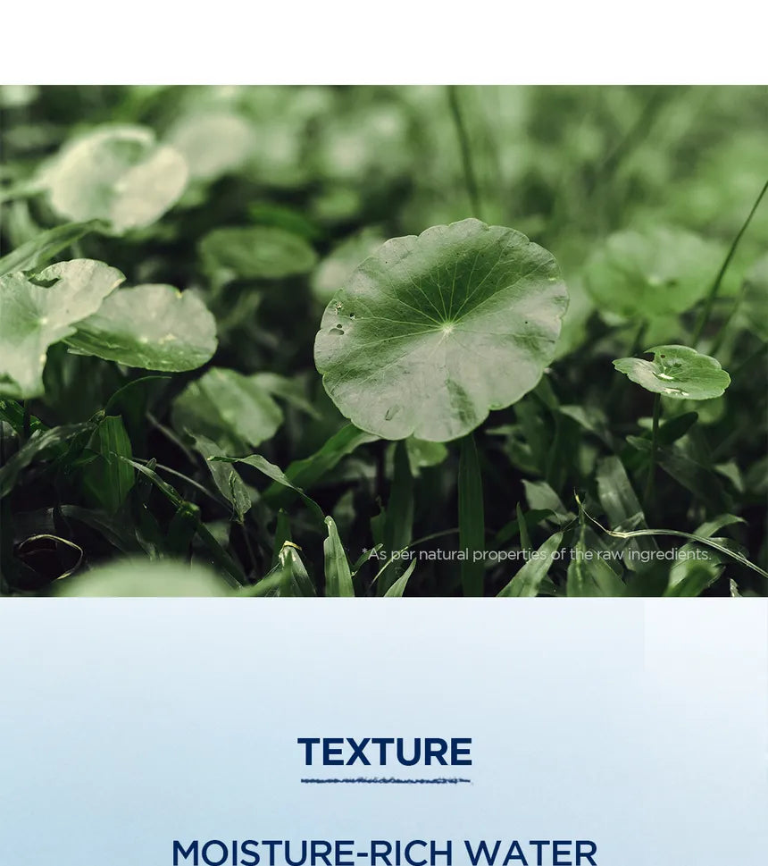 Skin1004 - Madagascar Centella Hyalucica Hydrating Mask gallery image 9