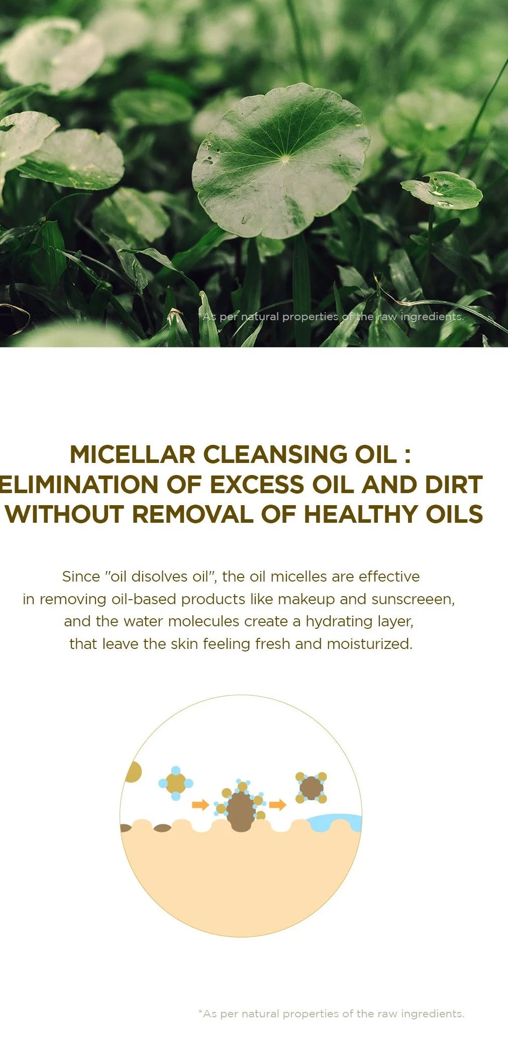 Skin1004 - Madagascar Centella Light Cleansing Oil gallery image 3