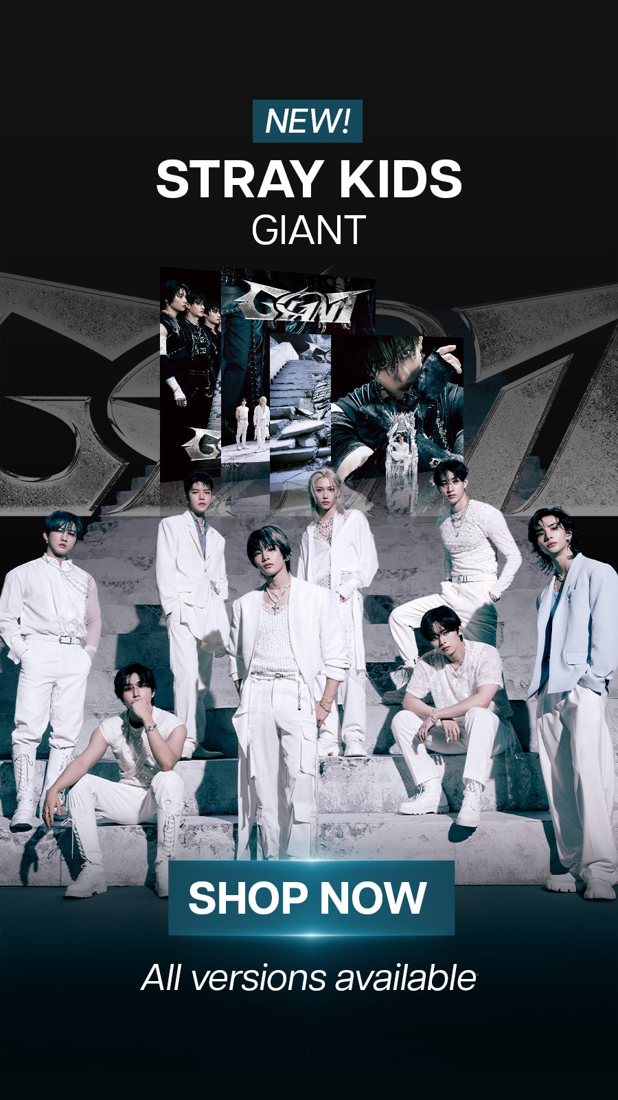 Stray Kids GIANT Banner Mobile