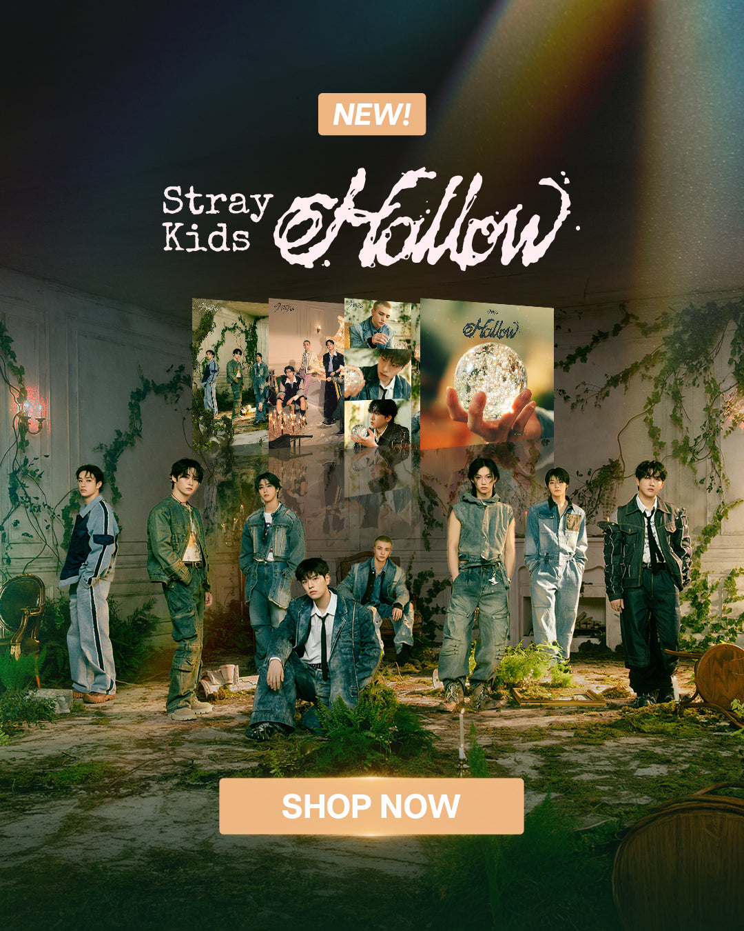 Stray Kids HOLLOW Banner Mobile Short