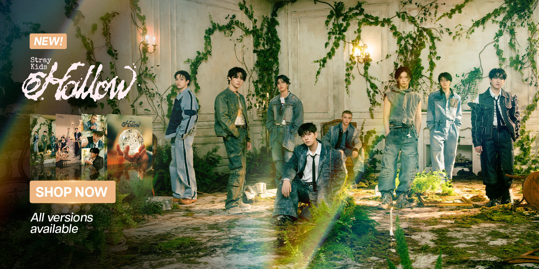 Stray Kids HOLLOW Banner