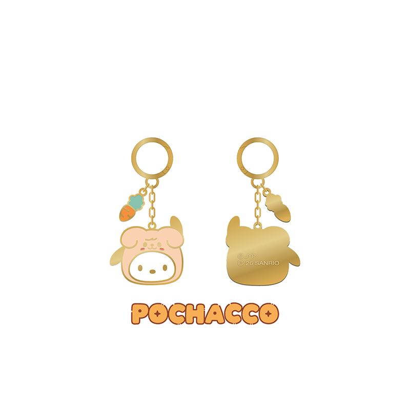 Stray Kids Metal Keyring SKZOO X SANRIO CHARACTERS Official MD - POCHACCO Ver - main image