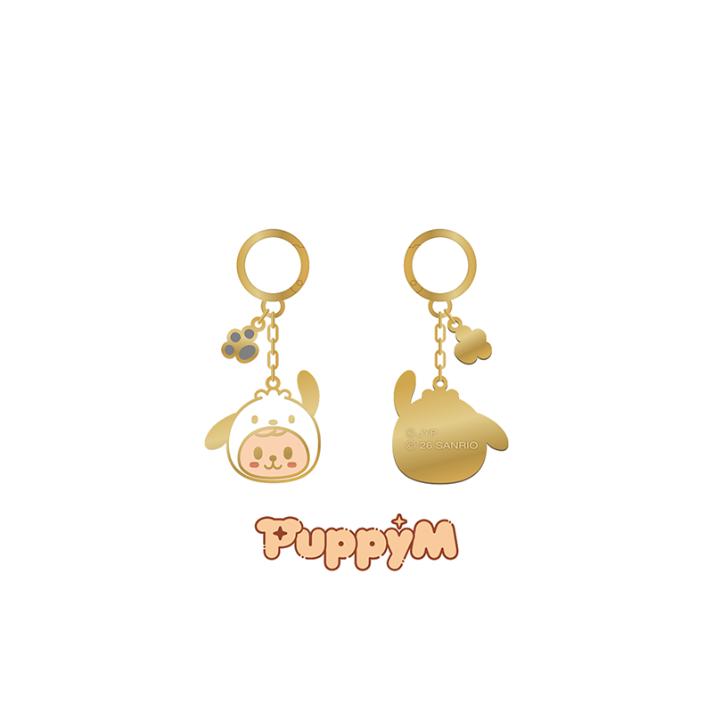 Stray Kids Metal Keyring SKZOO X SANRIO CHARACTERS Official MD - PuppyM Ver - main image