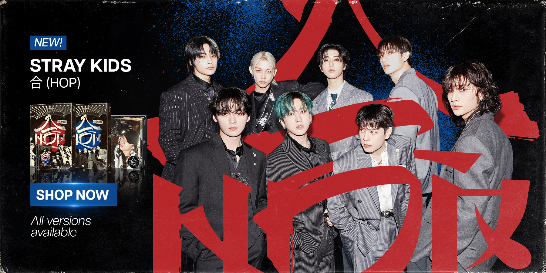 Stray Kids SKZHOP Banner