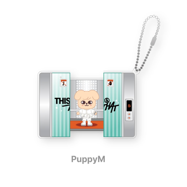 Stray Kids SKZOO Capsule Acrylic Keyring THIS and THAT POP UP Store Official MD PUPPYM Ver - main image
