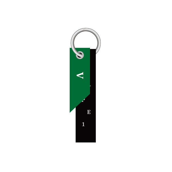 V DIY Keyring ARTSPACE Type 1 Official MD - main image