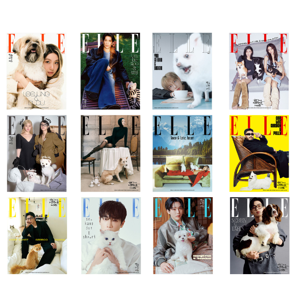 VARIOUS ARTISTS Cover  ELLE Korea November 2025 - Main Image