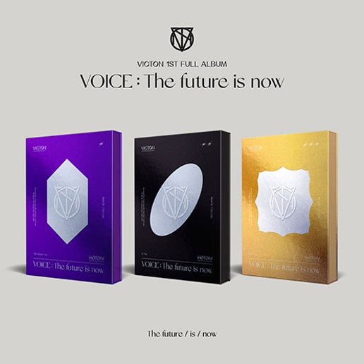 VICTON VOICE The future is now 1st Album 3 variations main product image