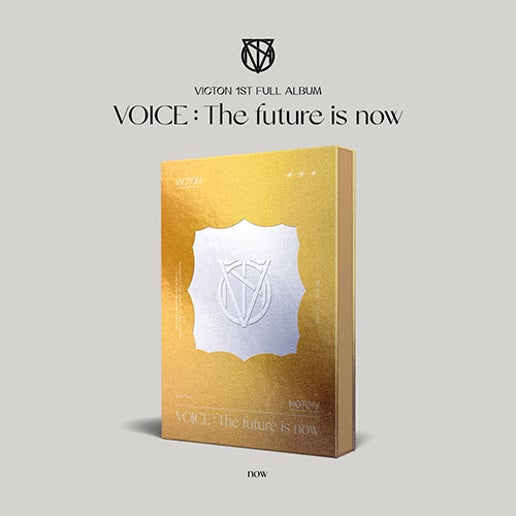 VICTON VOICE The future is now 1st Album now version product image
