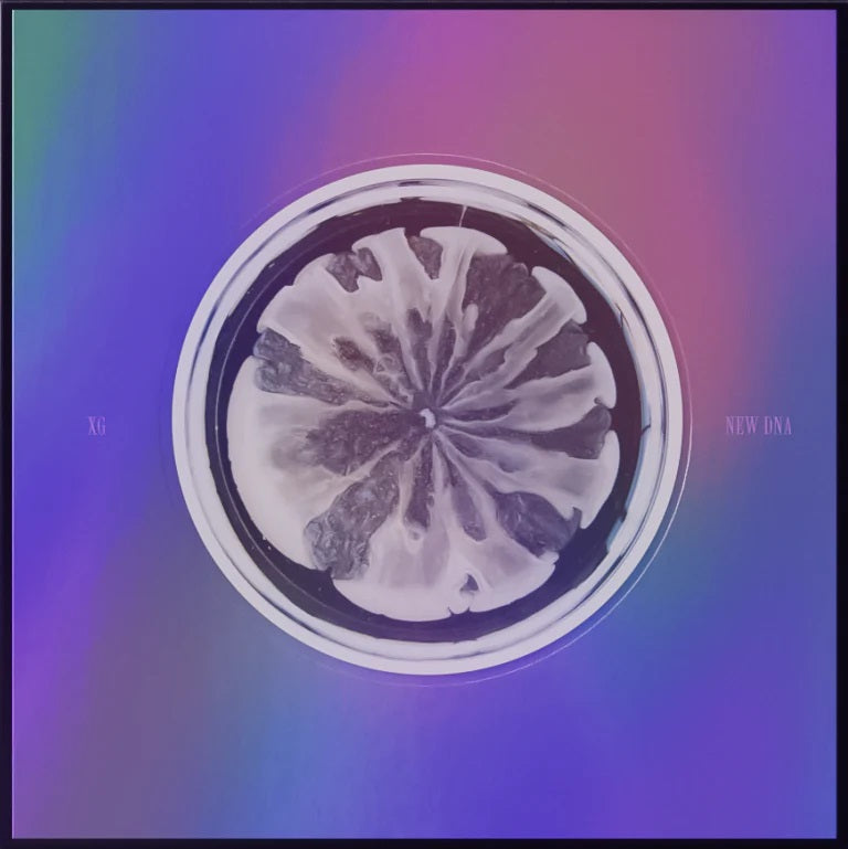 XG サイン CD XG 2nd Mini Album 2024.11.8 FRI
